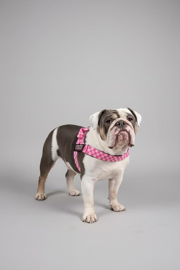 Adjustable Dog Harness– No Pull, No Choke – for English Bulldogs, French Bulldogs, Pugs & Broad-Chested Breeds – Easy, Safe Walks (Pink, Checker XL)