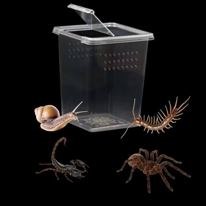 3 Pcs Acrylic Transparent Insect Reptile Spider Terrariums Breeding Box Hatching Container,Portable Small Reptile Animal Habitat Cage,Plastic Transport Container(Big Size)
