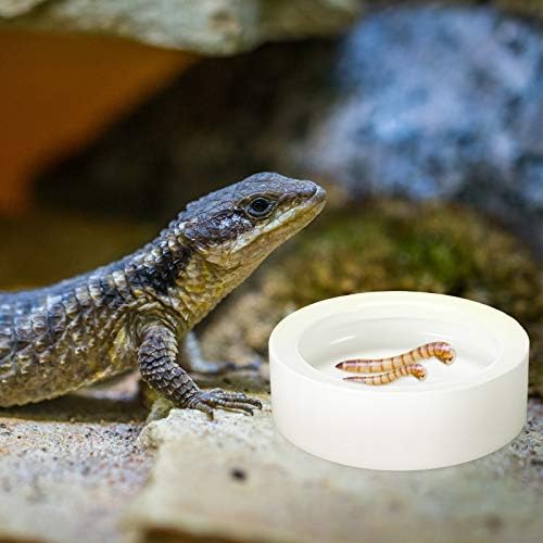 Meanplan 4 Pcs Reptile Bowl Food Dish Reptile Water Food Feeding Dish Ceramic Worm Pet Bowl Anti Escape Feeder for Lizard Anoles Chameleon Bearded Dragon Hermit Crab(2.71 Inch)