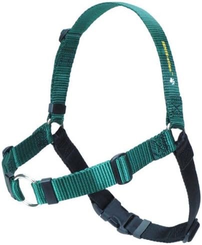 The Original Sense-ation No-Pull Dog Training Harness (Green, Large Wide)
