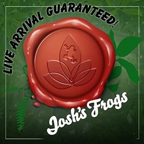 Josh's Frogs Tarantula Vivarium Bioactive Plant Kit (8x8x8 Terrarium)