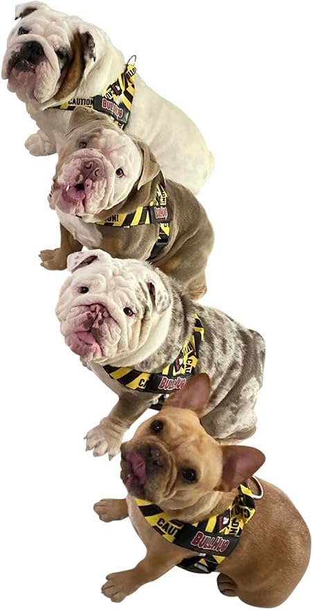 Adjustable Dog Harness– No Pull, No Choke – for English Bulldogs, French Bulldogs, Pugs & Broad-Chested Breeds – Easy, Safe Walks (Caution, Large)