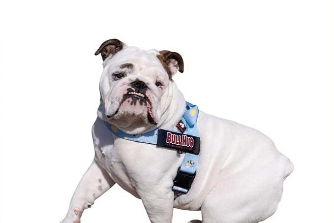 Adjustable Dog Harness– No Pull, No Choke – for English Bulldogs, French Bulldogs, Pugs & Broad-Chested Breeds – Easy, Safe Walks (Bumble BEE, XS)