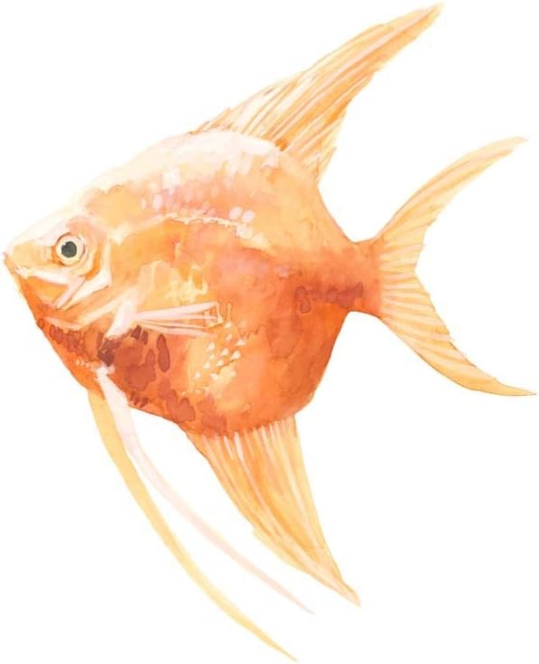 Discus Fish A by Emma Scarvey, 2 Piece Unframed Art Print Set, 12 X 12 Inches Each, Sea Life Art