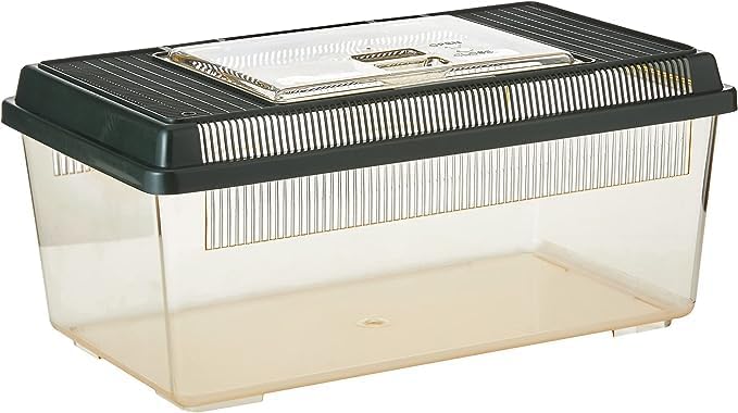 Exo Terra Faunarium Flat Home Plastic Reptile Terrarium, Medium (14" x 8" x 6") | Perfect for Temporary Housing, Quarantine, or Transport | Transparent Plastic Door for Easy Access