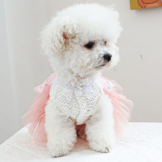 ANIAC Butterfly Dog Dress with Pink Tutu Funny Pet Clothes with Wing Girl Puppy Dress for Small Dogs Pet Butterfly Costume Holiday Cat Outfit for Halloween Birthday Wedding (Pink, Medium)