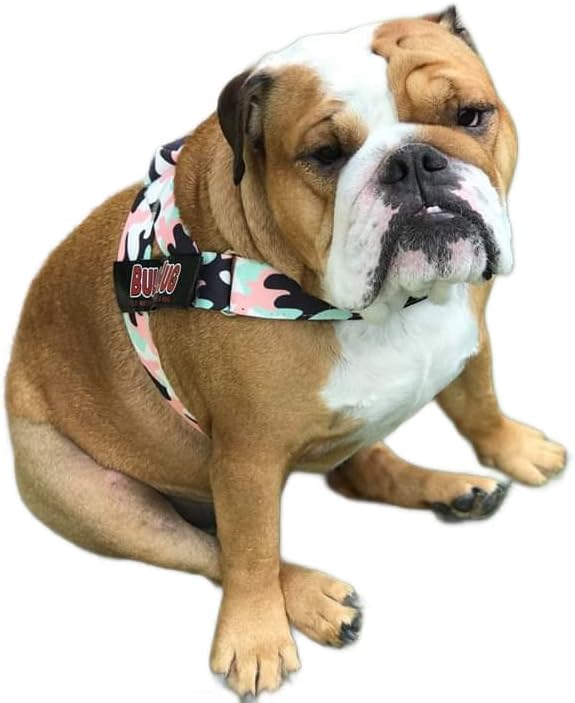 Adjustable Dog Harness– No Pull, No Choke – for English Bulldogs, French Bulldogs, Pugs & Broad-Chested Breeds – Easy, Safe Walks (Pink & Mint Camouflage, Large)