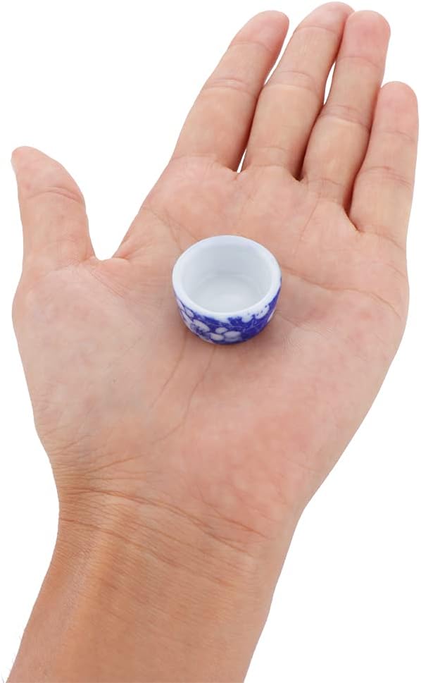 DQITJ 9 Pcs Spider Micro Ceramic Water Bowl, Hermit Crab Mini Dish for Spider Tarantula Hermit Crab Millipede Tiny Reptile