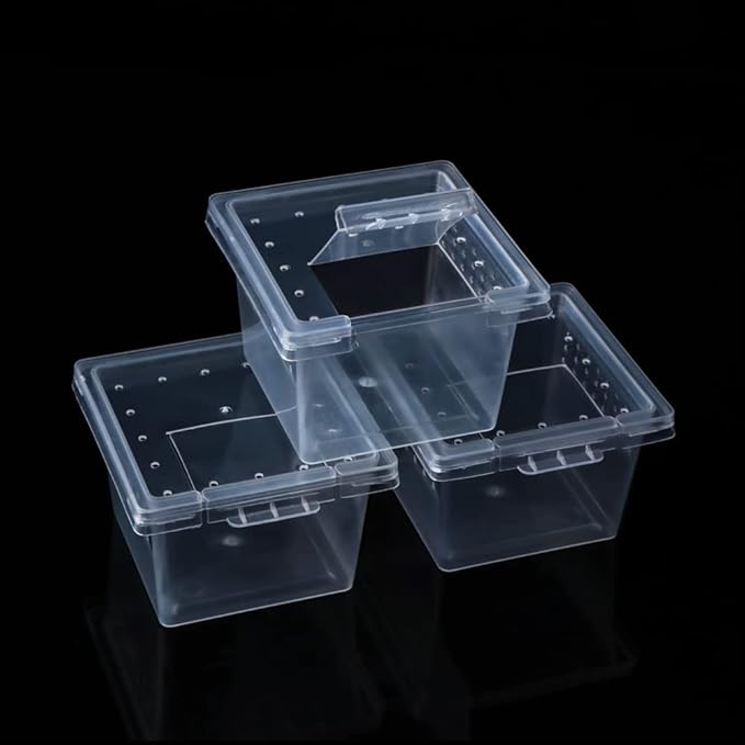 DQITJ 20 Pcs Spider Terrariums Breeding Box Hatching Container Acrylic Feeding Box for Small Reptile Scorpion Centipede Insect (Small Size)