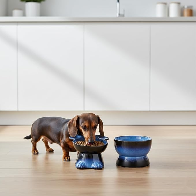Nihow Dog Food & Water Bowls: Elevated Ceramic Bowls for Medium/Small Dog | Food Safe Raised Puppy Bowls - Vivid Blue Pet Bowl for Protecting Pet's Spine (Set of 2)