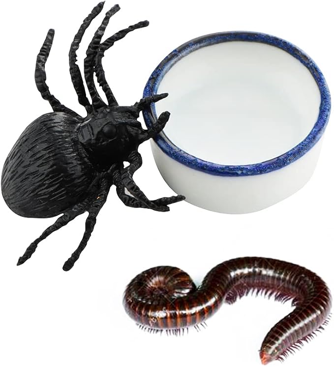 10 Pcs Spider Micro Water Bowl Mini Ceramic Dish for Tiny Reptile Spider Millipede Tarantula (Small Size: 0.86" D, 0.43" H)