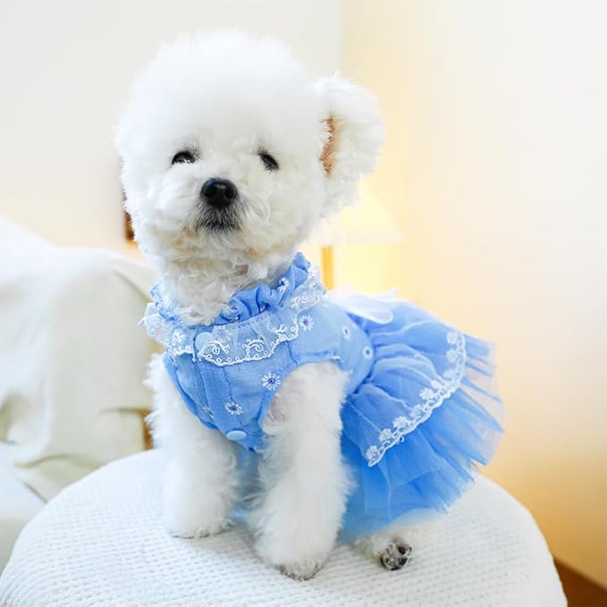 ANIAC Daisy Small Dog Dresses Female with Leash Ring,Bow Knot Girl Puppy Wedding Dress,Valentine's Cat Outfit,Fancy Pet Party Dress for Kitten Chihuahua Yorkie Pomeranian (Blue, Small)