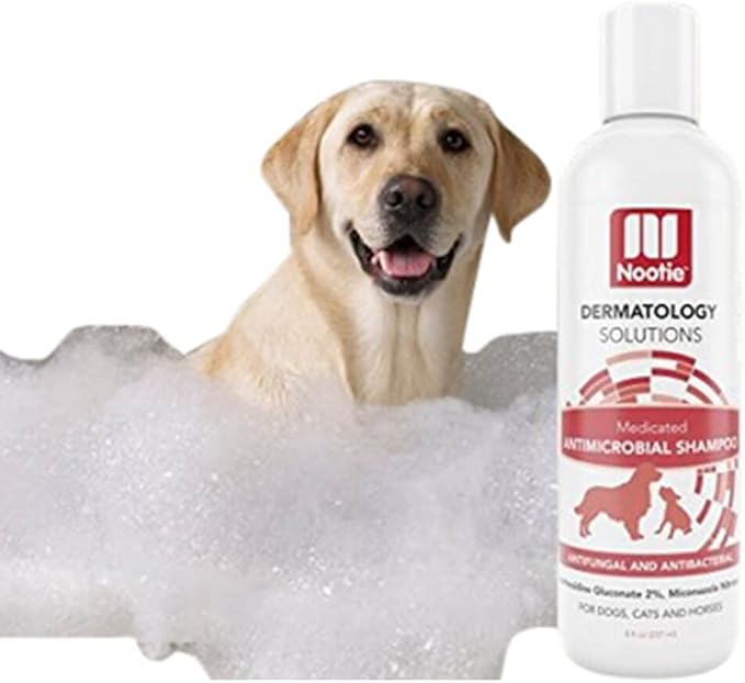 Nootie Medicated Pet Shampoo, Chlorhexidine Dog Shampoo for Itch Relief, Sold in Over 5,000 Vet Clinics & Pet Stores Worldwide- 8oz