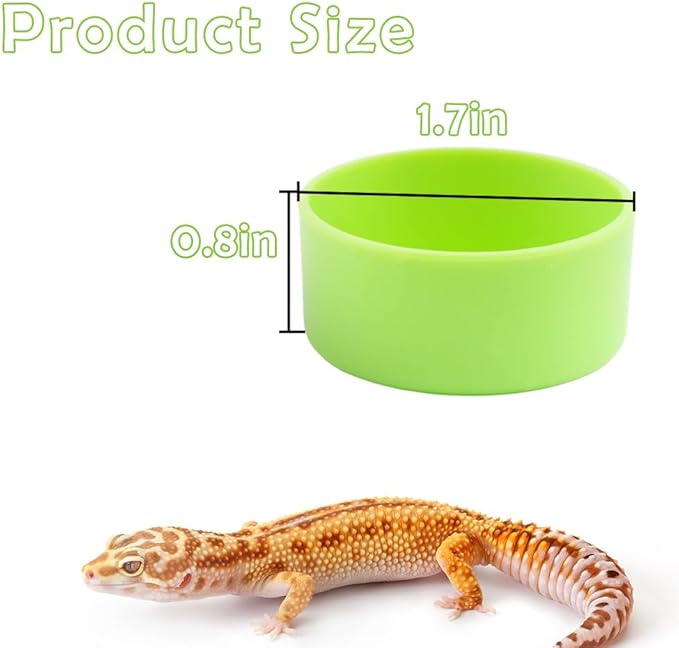 10 Pcs Tarantula Micro Water Bowl Small Reptile Food Dish Feeding Bowl for Spider Gecko Lizard Horned Frog Turtle (Green)