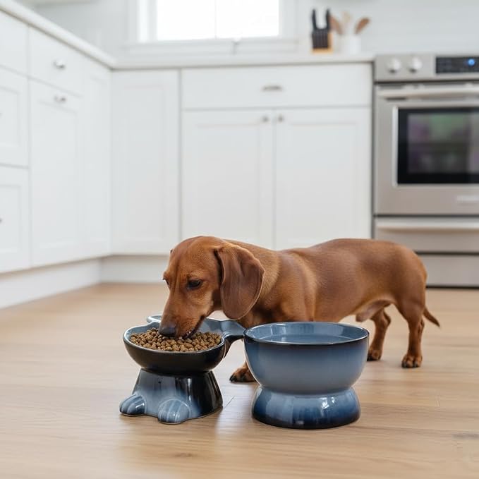 Nihow Dog Food & Water Bowls: Elevated Ceramic Bowls for Medium/Small Dog | Food Safe Raised Puppy Bowls - Gray Pet Bowl for Protecting Pet's Spine (Set of 2)