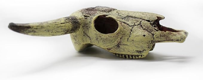 Leoyoubei Aquarium Decoration, Fish Tank Small Skull,Fish Turtle Hidden, Bonsai beautification. Cave Landscape Pet Reptile House Shrimps & Snails Love Them (Cattle Skull)