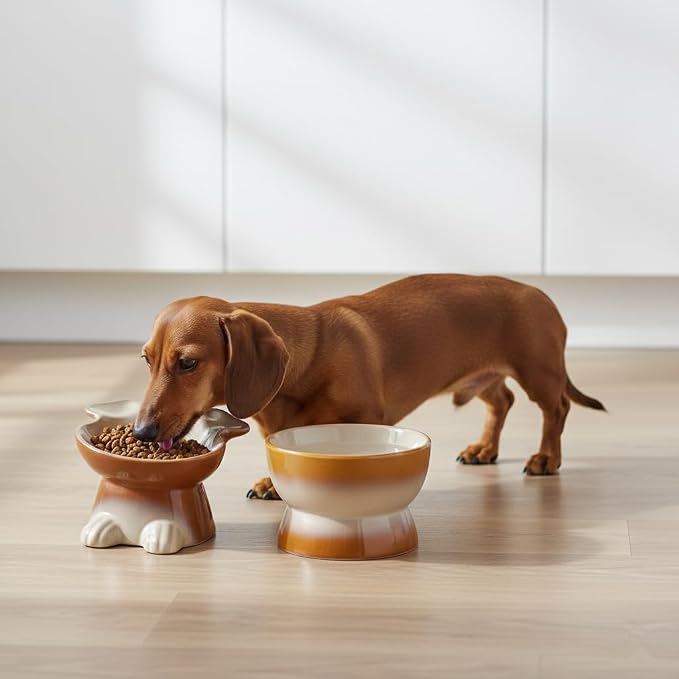 Nihow Dog Food & Water Bowls: Elevated Ceramic Bowls for Medium/Small Dog | Food Safe Raised Puppy Bowls - Brown Pet Bowl for Protecting Pet's Spine (Set of 2)