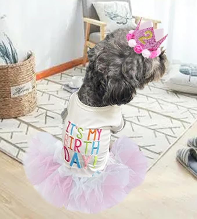 ANIAC Dog Birthday Dress and Hat Set Puppy Lace Tutu Pink Pet Crown Hat with 0-9 Figures Birthday Outfit for Cats Small Dog (White+Pink,X-Large)