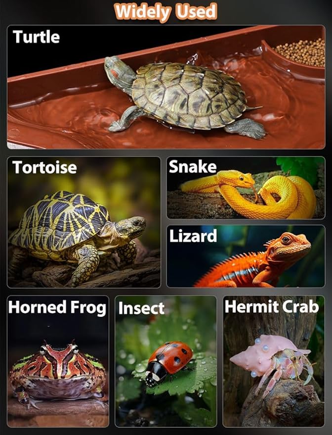 Tortoise Water Bowl with Ramp, 3PCS Leaf Reptile Food Water Bowl Turtle Pool Reptile Water Dish Tortoise Bathing Pool Turtle Soaking Dish Aquarium Habitat Accessories Small