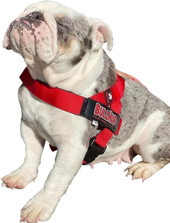 Adjustable Dog Harness– No Pull, No Choke – for English Bulldogs, French Bulldogs, Pugs & Broad-Chested Breeds – Easy, Safe Walks (Bright RED, Small)