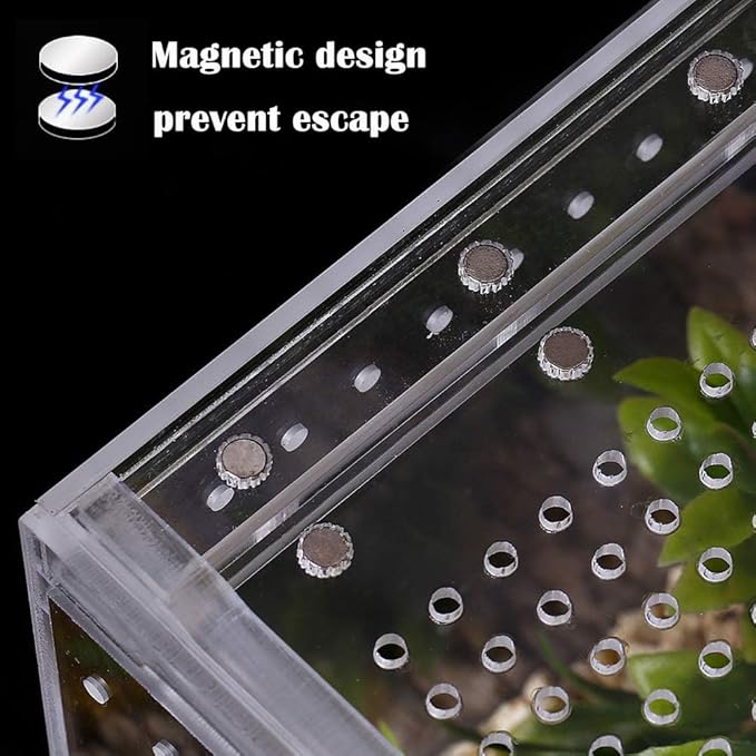 Small Acrylic Tarantula Enclosure Terrarium with Magnetic Button,8 * 4 * 4inch Thicken Isopod Enclosure,Spider Cage,Terrarium for Reptiles,Lizard,Juvenile Tarantulas