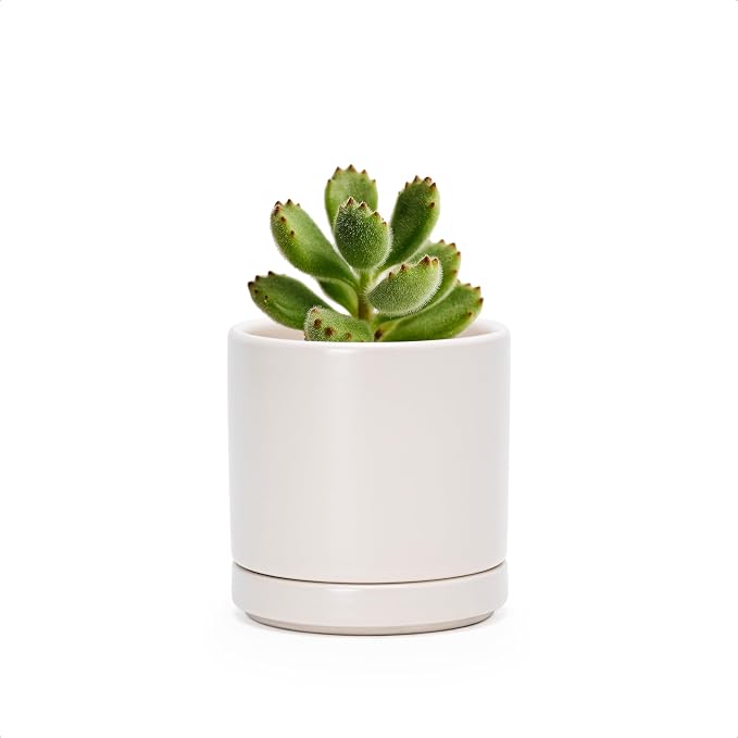 D'vine Dev 3.5 Inch Ceramic Planter Pot, Oatmeal, 94-O-A-8 | Modern Cylinder Design, Drainage Hole & Saucer Included, Stable Structure, Elegant Home Accent
