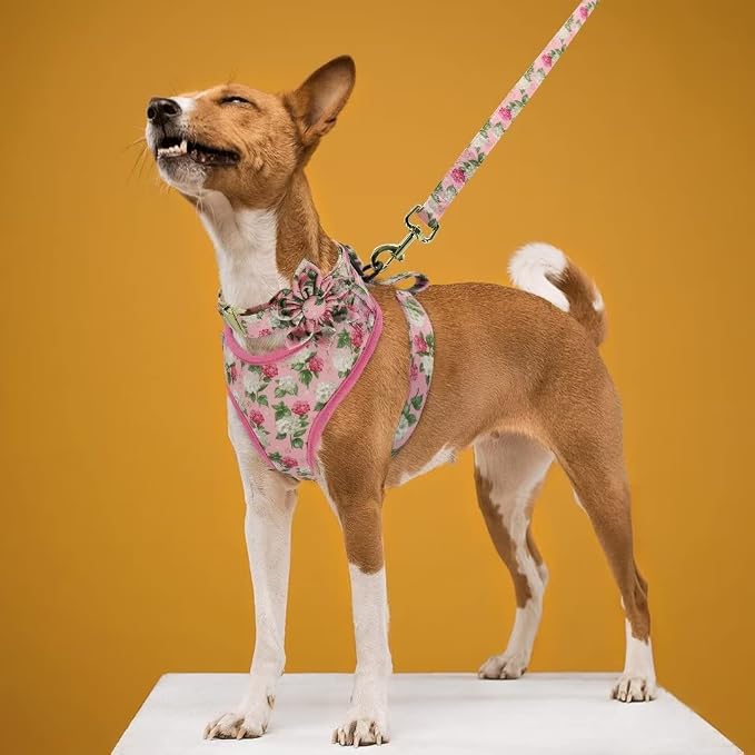 Beirui Cute Dog Collars,Harnesses,Leashes Set, Floral Pattern, Pink,M | Girl Dog Harness Set with Flower, Adjustable and Soft Mesh Lining, For Medium Dogs Daily Walks