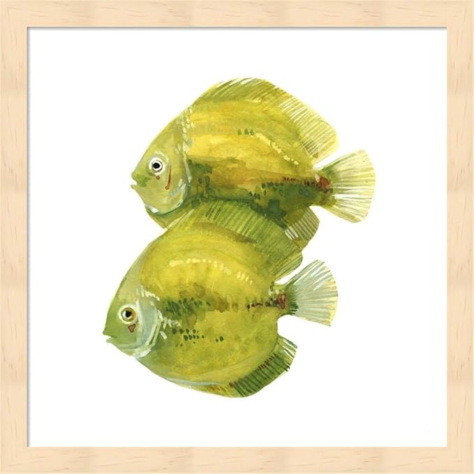 Discus Fish A by Emma Scarvey, 2 Piece Natural Framed Art Set, 13 X 13 Inches Each, Sea Life Art