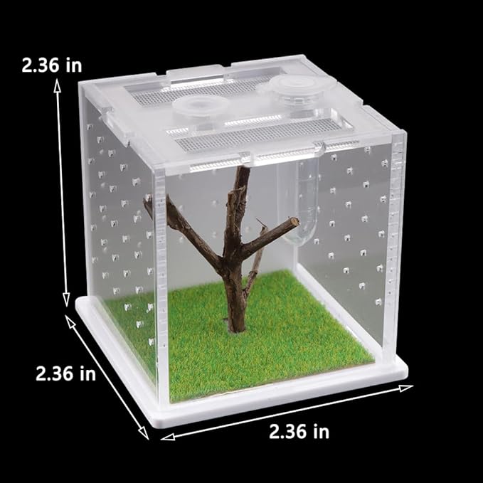 Spider Acrylic Breeding Box, Tarantula Transparent Terrarium, Jumping Spider Feeding Box, Insect Habitat Hatching Container Cage