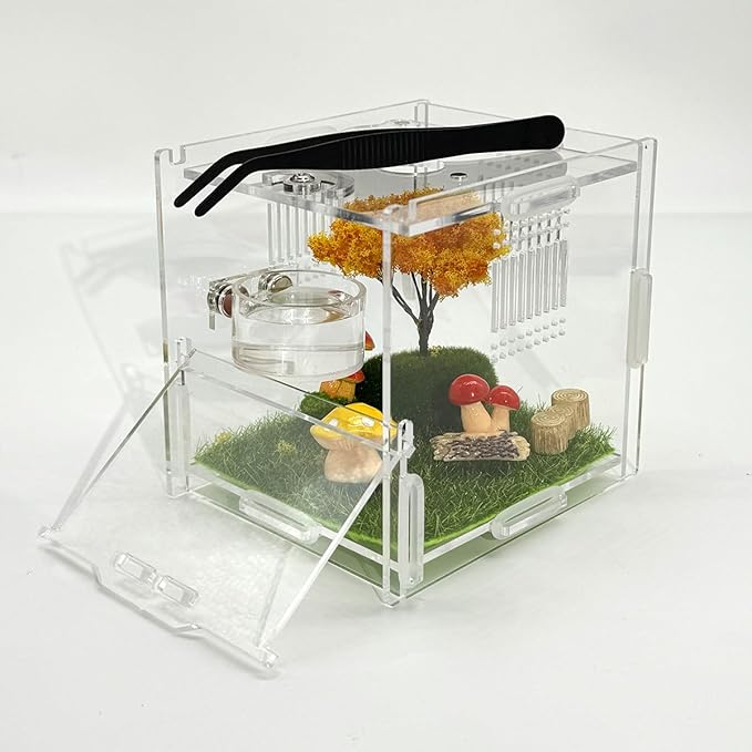 Jumping Spider Feeding Dish Set, Magnetic Water Bowl, Reptile Feeding Tongs, Jumping Spider Enclosure Accessories