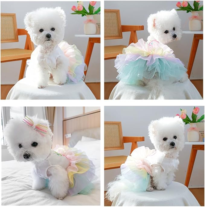 ANIAC Happy 1st Easter Dog Dress Girl Holiday Puppy Clothes for Small Dog Easter Cat Outfit Eggs Print Rainbow Doggy Princess Tutu Dress Pet Clothing (X-Small)