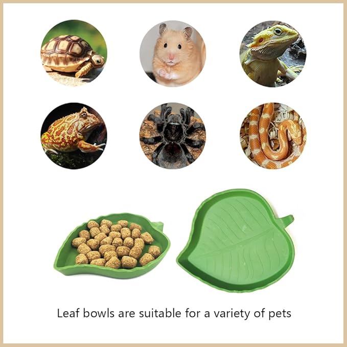 3 Pcs Large Tortoise Water Dish with Ramp Leaf Tortoise Water Food Bowls Reptile Water Dish Amphibians Habitat Accessories for Lizard Turtle Horned Frog Brown