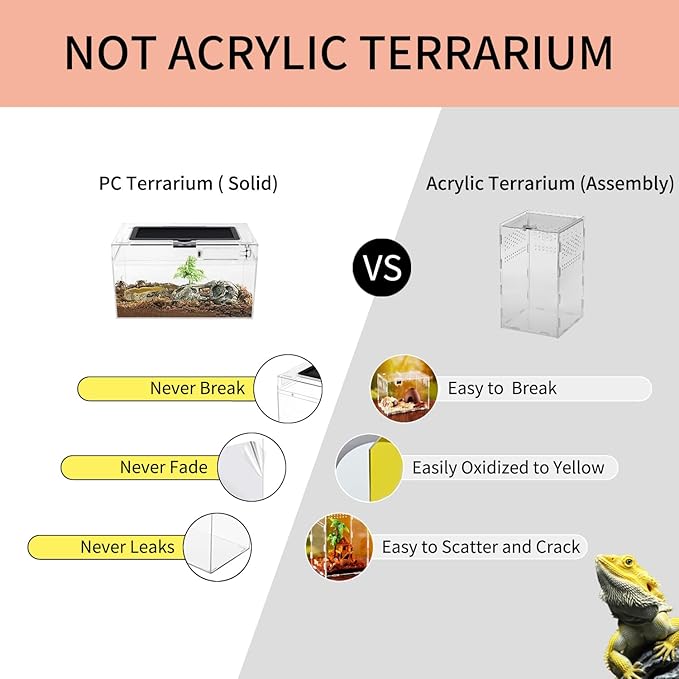 Mini Reptile Terrarium Set,12" x 7"x 6" Low Reptile Tank with Full View Visually Appealing,for Insect,Fish,Tarantula,Hermit Crab,Jumping Spider,Iguana,Tortoise,Leopard Gecko,Frog,Bearded Dragon