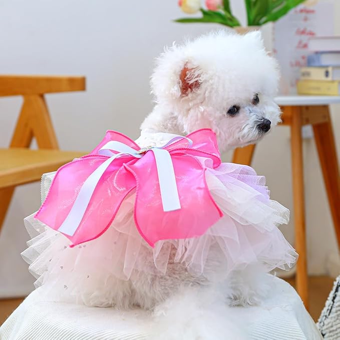 ANIAC Fancy Small Dog Dress, Bow Knot Girl Puppy Clothes, Cat Princess Dress, Spring Dog Clothes Female, Formal Pet Pary Outfit for Wedding Birthday Valentines (Red Bow, Medium)