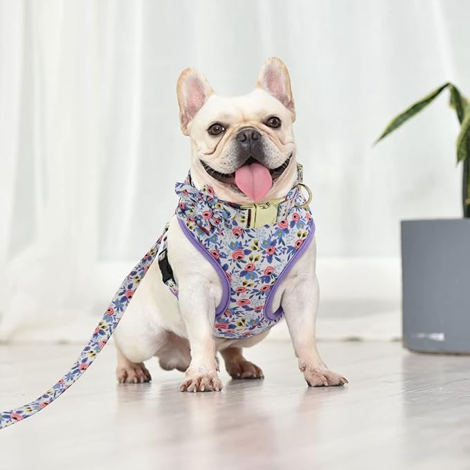 Beirui Cute Dog Collars,Harnesses,Leashes Set, Floral Pattern, Blue,S | Girl Dog Harness Set with Flower, Adjustable and Soft Mesh Lining, For Small Dogs Daily Walks