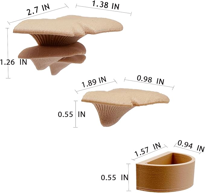 2 Pack Jumping Spider Accessories Mushroom Ledges & 1 Pack Water Bowl with Magnets for Spoods Jumping Spiders Magnetic Ledge Ladder Pet Spider Accessories (Not Included The Terrarium) (beige)
