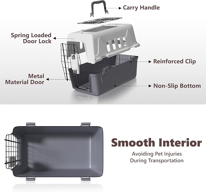 Athena Collection 18" Hard-Sided Travel Pet Carrier for Small Dogs and Cats | Plastic Dog Carriers with 2-Door Top & Front Load & Ventilation & Security Lock, Cat Dog Carrier for Pet, up to 10lbs, Grey