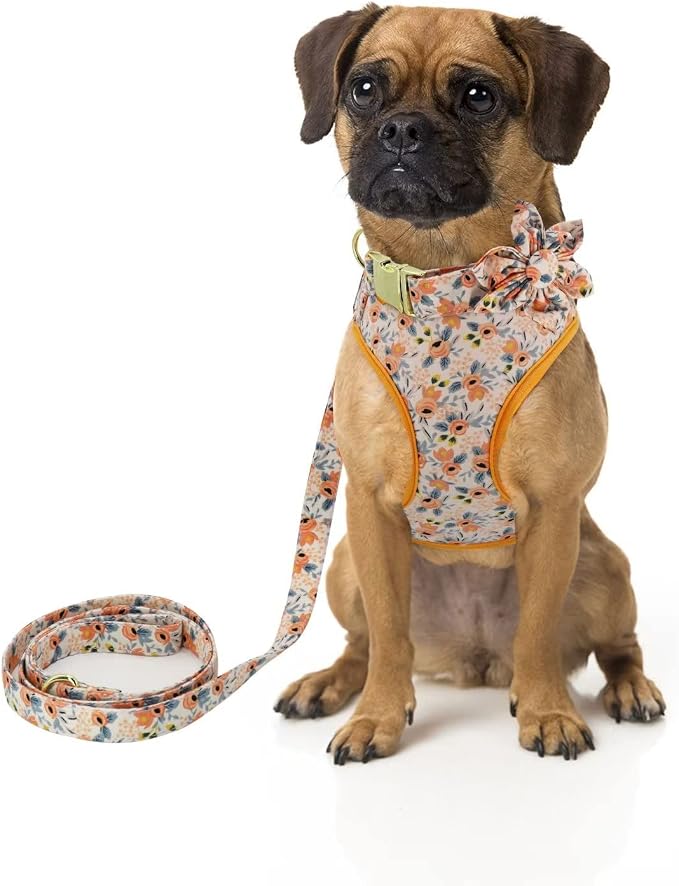 Beirui Cute Dog Collars,Harnesses,Leashes Set, Floral Pattern, Orange,M | Girl Dog Harness Set with Flower, Adjustable and Soft Mesh Lining, For Medium Dogs Daily Walks