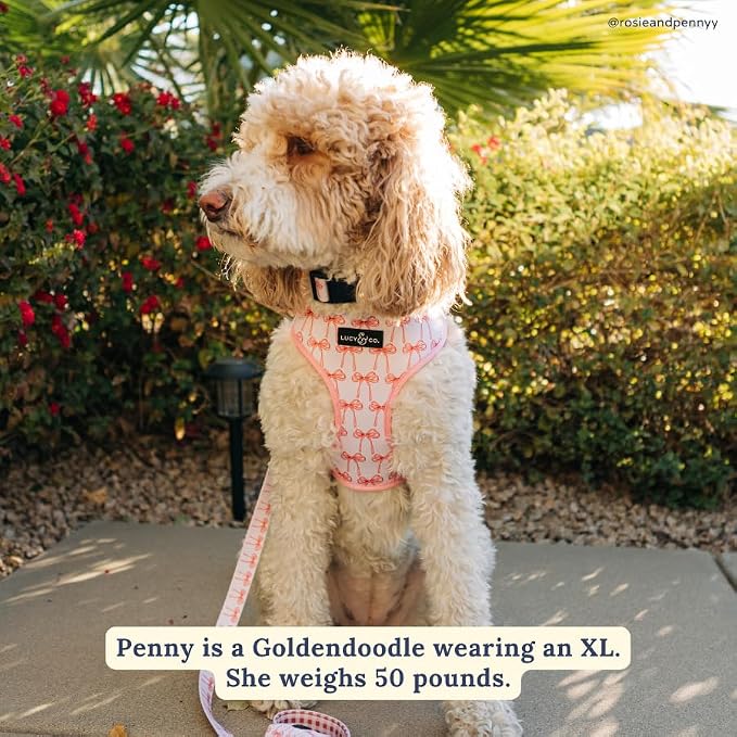 Lucy & Co. Reversible Dog Harness - Water-Repellent Neoprene, Dual-Print Design, Easy Swap Style, Adjustable Comfort Fit - Take a Bow Reversible Harness - Large