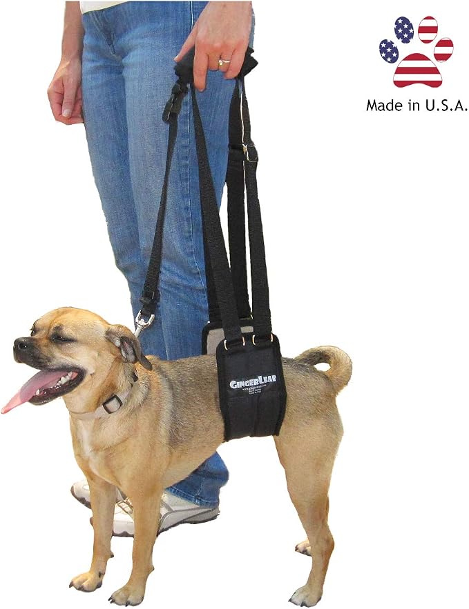 Dog Rear Sling Support Harness, SM Female, Machine Wash & Dry | Fits Small to Medium Size Dogs or Larger Barrel-Chested Breeds like Boxers, Bullies. Padded, Integrated Leash. Made in U.S.A.