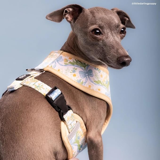 Lucy & Co. Reversible Dog Harness - Water-Repellent Neoprene, Dual-Print Design, Easy Swap Style, Adjustable Comfort Fit - Sunshine Daffodils Reversible Harness - X-Large