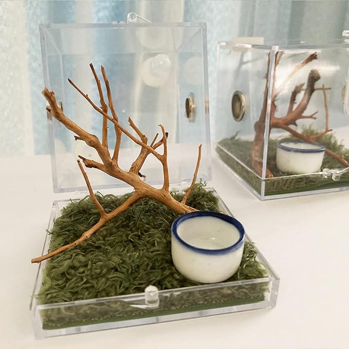 Jumping Spider Enclosure, Jumping Spider Habitat with Dropper Tongs Acrylic Reptile Breeding Box for Tarantula Scorpion Sling Isopods Invertebrates Insects Mantis Snake Gecko