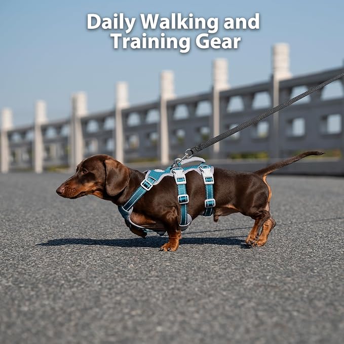 Escape Proof Dog Harness, No Pull Reflective Harness with Lift Handle, Adjustable Pet Vest with Front and Back Leash Clips for Small Medium Large Dogs Walking Hiking Training (Teal,XL)