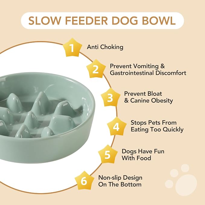 Havniva Dog Bowls Slow Feeder, Ceramic Slow Feeder Dog Bowls for Fast Eater | 0.9 Cups Dog Food Bowl Puzzle Feeder, Slow Feeding Bowls for Small Breed, Non-Slip Base, Anti-Choking