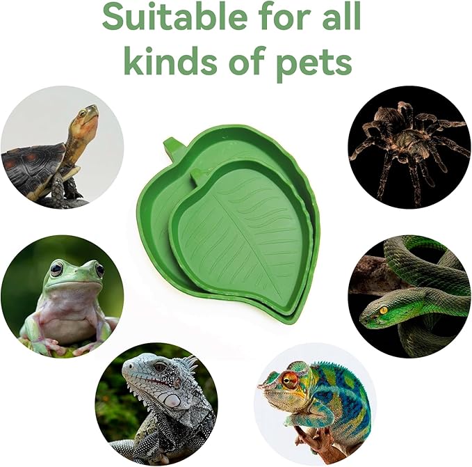 2-Pack Leaf Shape Reptile Food & Water Bowl, 2 Sizes Tortoise Feeding Dish, Multipurpose Reptile Habitat Bowl for Bearded Dragon, Lizard, Gecko, Corn Snake & Crawl Pets