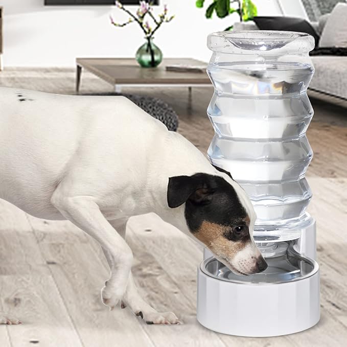 Distributeur d'eau pour chien RIZZARI Gravity : Grande fontaine d'eau automatique en acier inoxydable de 8 L – Conception anti-déversement sans BPA pour grands chiens et foyers multi-chiens – Pour usage quotidien intérieur et extérieur