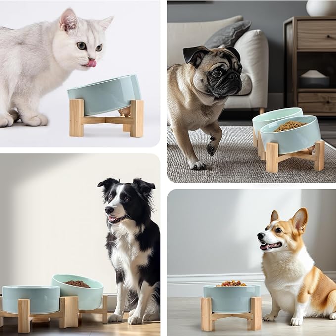 SPUNKYJUNKY 15° Slanted Ceramic Dog and Cat Bowl with Wooden Stand, Tilted Bulldog Food and Water Bowl No Slip Non-Spill for Cats Medium Dogs Big Face Pets 28.7 OZ (3.6 Cups, Morandi Green × 2)