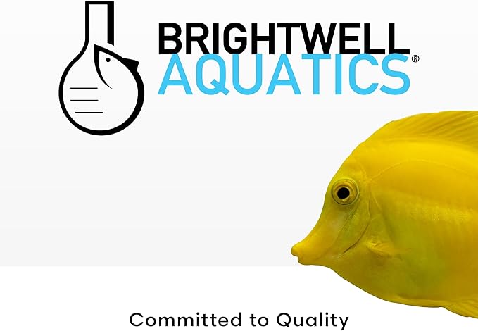 Brightwell Aquatics DiscusCōde Trace and Minor Element Supplement Supports Coloration Nerve Function Overall Health in Discus and Amazonian Freshwater Fish, 2L