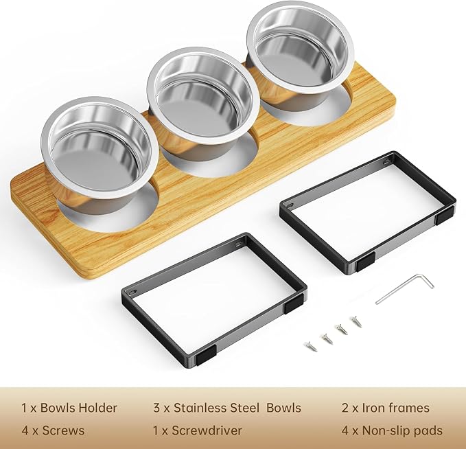2 Pack Elevated Cat Bowls with 3 Stainless Steel Bowls | 10° Tilted Anti-Vomiting Raised Cat Food Bowl for Small Cats and Puppies Pet Bowl with Stand