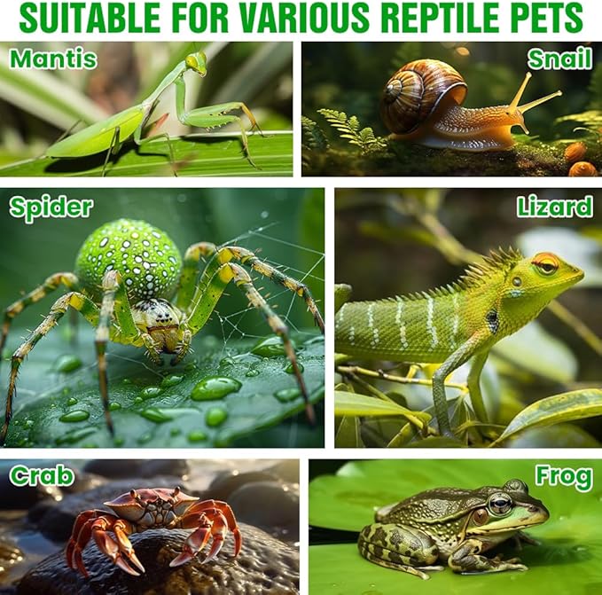 Jumping Spider Terrarium, Complete Acrylic Habitat Kit with Dual Doors, Feeding Tools for Spiders, Tarantulas, Mantis, Small Reptiles, 4.7x4.7x7.9 Inch